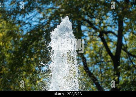 Résumé de l'eau. Gros plan sur les éclaboussures d'eau.l'eau gelée tombe sur le fond des arbres verts.goutte lente du liquide avec les bulles d'air.fond nature ou fond d'écran.éclaboussures de liquide gelé Banque D'Images