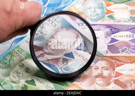 Dollar barbadien dans une loupe Banque D'Images