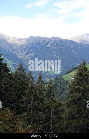 Wanderung auf dem Verdinser Waalweg zur Waalerhütte - Blick über das Passeiertal zu den Ötztaler Alpen Banque D'Images