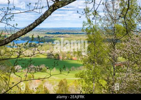 Belle vue sur un paysage rural au printemps à travers l'arbre branches Banque D'Images