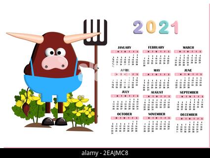 Calendrier des tendances pour 2021. Année du taureau ou du boeuf. Joli taureau de bébé. Page de calendrier verticale Banque D'Images