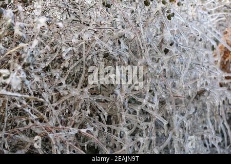 Ashford, Kent, Royaume-Uni. 10 févr. 2021. Météo au Royaume-Uni : au milieu de la tempête Darcy, d'incroyables glaces de bord de route se forment sur la route A28 Ashford entre Bethersden et High Halden dans le Kent. Crédit photo : Paul Lawrenson/Alay Live News Banque D'Images