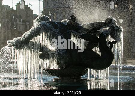 TRAFALGAR SQUARE LONDRES, ROYAUME-UNI 10 FÉVRIER 2021. Les glaces pendent des sculptures de la sirène lors d'une matinée claire et croustillante aux fontaines de Trafalgar Square qui se sont gelées alors que Londres connaît des températures inférieures à zéro après que la neige abondante apporte des températures glaciales dans de nombreuses parties du Royaume-Uni et des vents violents dans les régions côtières du sud-ouest. Credit amer ghazzal/Alamy Live News Banque D'Images