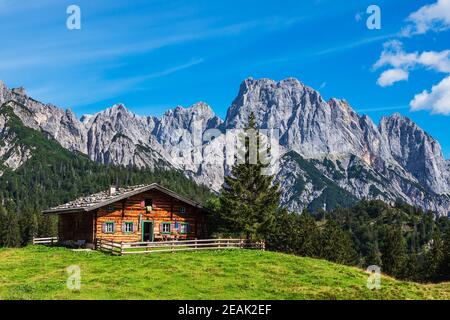 Vue sur le pâturage de montagne Litzlalm dans les Alpes, Autriche Banque D'Images