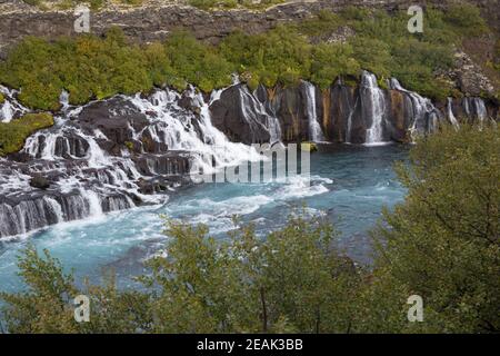 Hraunfossar, Lavawasserfälle, Wasserfälle in den Fluss Hvítá in der Nähe der Orte Húsafell und Reykholt im Westen Islands, Auf einer Länge von CA. 7 Banque D'Images