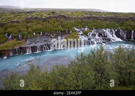 Hraunfossar, Lavawasserfälle, Wasserfälle in den Fluss Hvítá in der Nähe der Orte Húsafell und Reykholt im Westen Islands, Auf einer Länge von CA. 7 Banque D'Images