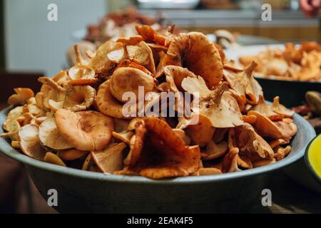 Récolte de champignons. Beaucoup de plantes d'automne. Préparation des champignons Banque D'Images