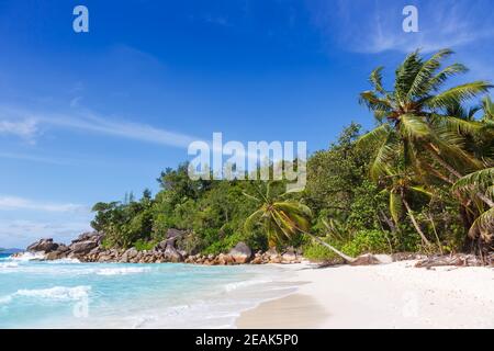 Seychelles Anse Georgette plage Praslin île palmiers mer de vacances Banque D'Images