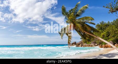 Seychelles Anse Georgette plage voyage paysage Praslin île palmier panoramique vue mer de vacances Banque D'Images