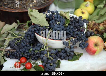 Différents types de fruits et légumes à vendre, exposés à la cérémonie de l'événement Dionysius à Scitarjevo, Croatie Banque D'Images