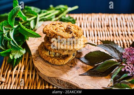 Biscuits aux canneberges fraîchement cuits maison avec des bords dorés, refroidissant sur une grille lors de la préparation artisanale des biscuits dans une cuisine rustique Banque D'Images