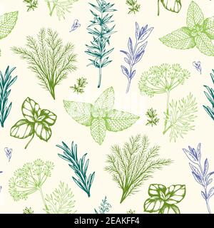 Motif vintage sans couture dessiné à la main avec épices et herbes provençales. Fond floral décoratif. Banque D'Images