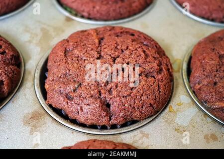 Gros plan d'un chocolat courgettes muffins dans un plateau Banque D'Images