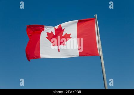 Drapeau canadien contre le ciel bleu Banque D'Images