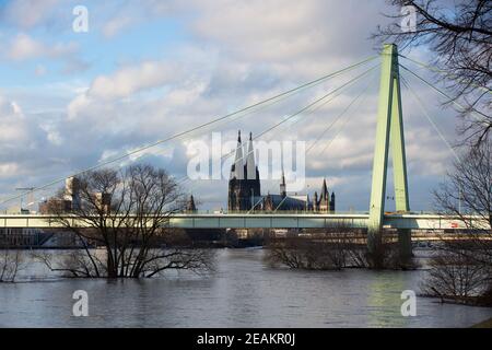 Inondation à Cologne 2021, vue de Poller Wiesen en aval à la cathédrale . Poller Wiesen inondé, les arbres se trouvent dans l'eau du Rhin. Rhin, Severinsbri Banque D'Images