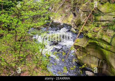 Paysage avec la rivière Bode dans la région de Harz, Allemagne Banque D'Images