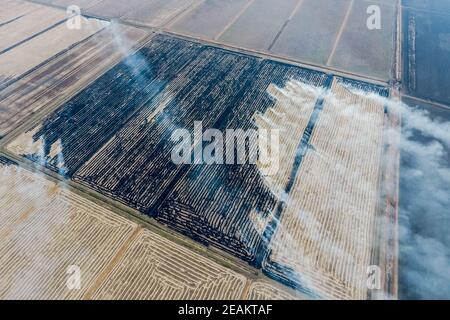 La combustion de la paille dans les champs Banque D'Images