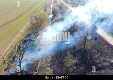 Brûlage d'herbe sèche le long du canal d'irrigation. La fumée et le flam Banque D'Images