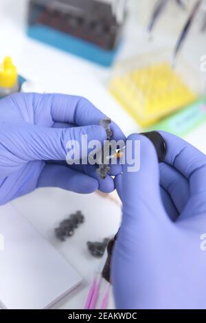 Nouvelles bretelles dans les mains d'un dentiste. Installation de bretelles pour l'alignement de la dentition ou de la morsure. Personne méconnaissable. Mains dans des gants de protection. Photo verticale. Banque D'Images