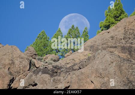 Falaise et lune dans le monument naturel de Nublo. Banque D'Images