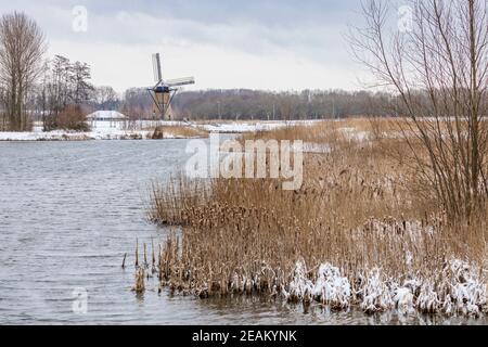 Scène hollandaise typique avec le moulin à vent historique de Pendrecht dans un paysage enneigé. Le premier plan montre l'eau et le roseau. Banque D'Images