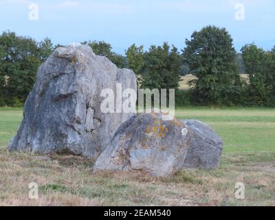 belle pierre naturelle avec un visage de lion ou quelque chose comme que sans être une sculpture Banque D'Images