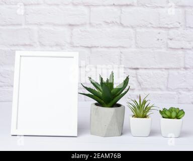 cadre en bois blanc vide et sucs verts en céramique pot Banque D'Images