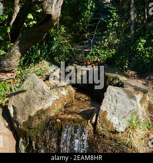 gouttière artificielle de cours d'eau bordée de pierre naturelle, au milieu de la végétation du parc Banque D'Images