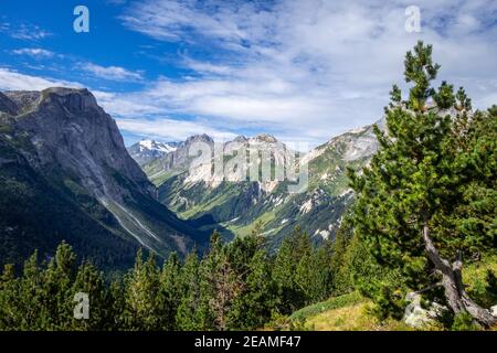 Paysage de montagne et de pâturages dans les alpes françaises Banque D'Images