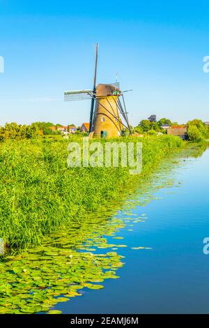 Moulins à vent de Kinderdijk vus pendant la journée ensoleillée d'été, Rotterdam, pays-Bas Banque D'Images