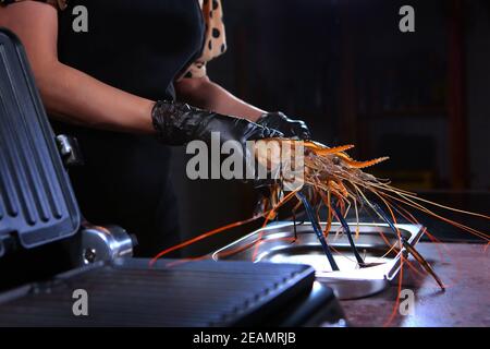 Une femme de chef tient une crevette géante d'eau douce entre ses mains. Griller des crevettes. Photo sur fond noir. Personne méconnaissable. Copier l'espace. Banque D'Images