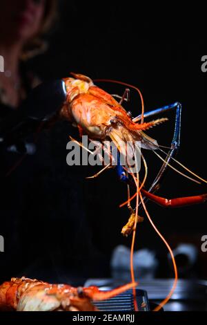 Le chef fait griller des crevettes géantes d'eau douce. Crevettes grillées dans les mains du cuisinier. Photo sur fond noir. Concept de cuisine. Banque D'Images