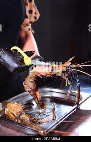 Les rips ouvrent la coquille d'une crevette. Une crevette géante d'eau douce entre les mains du chef. Ciseaux à la main. Photo sur fond noir. Personne méconnaissable. Banque D'Images