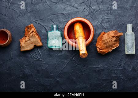 Teinter polypore en médecine de fines herbes Banque D'Images