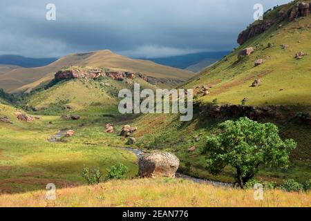 Paysage de montagne pittoresque de drakensberg Banque D'Images