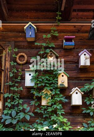 Vieilles mangeoires décoratives d'oiseaux et maisons d'oiseaux en bois Banque D'Images