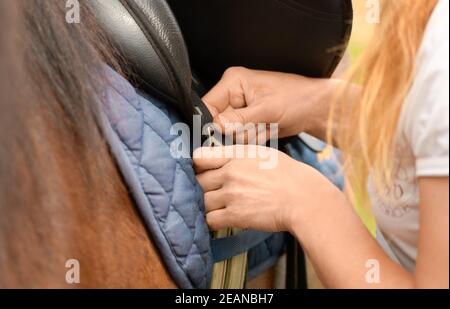 La femme caucasienne se tient à côté du cheval de baie et tient la ceinture de selle dans ses mains à l'extérieur. Banque D'Images