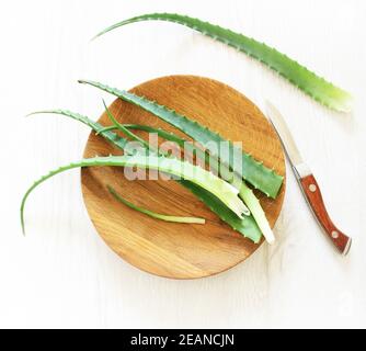 Feuille d'aloe vera frais sur plaque en bois , gel clair naturel Banque D'Images