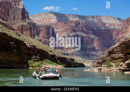 Flottant dans un radeau sur le fleuve Colorado, Parc national du Grand Canyon, site classé au patrimoine mondial de l'UNESCO, Arizona, États-Unis d'Amérique, Amérique du Nord Banque D'Images