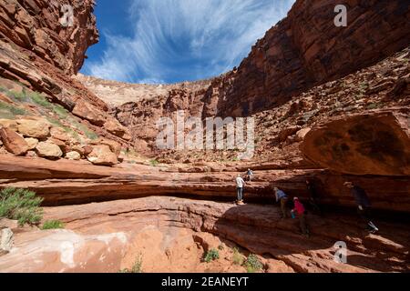 Randonneurs à Marble Canyon le long du fleuve Colorado, parc national du Grand Canyon, site classé au patrimoine mondial de l'UNESCO, Arizona, États-Unis d'Amérique Banque D'Images