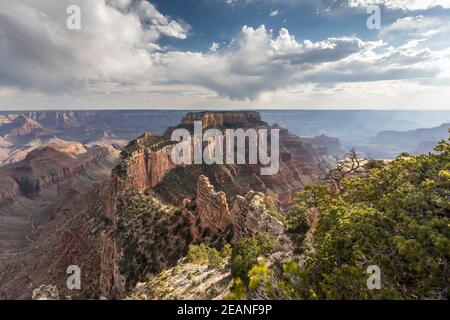 Vue depuis Cape Royal point sur la rive nord du parc national du Grand Canyon, site classé au patrimoine mondial de l'UNESCO, Arizona, États-Unis d'Amérique Banque D'Images