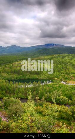 Forêt d'automne et lac avec arbres colorés Banque D'Images