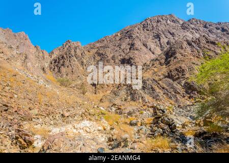 Nature en Oman entourant le célèbre sentier de randonnée c38 à Muttrah, Muscat, Oman. Banque D'Images