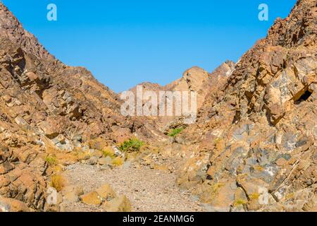 Nature en Oman entourant le célèbre sentier de randonnée c38 à Muttrah, Muscat, Oman. Banque D'Images