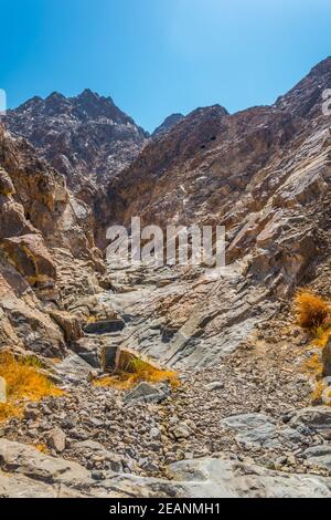 Nature en Oman entourant le célèbre sentier de randonnée c38 à Muttrah, Muscat, Oman. Banque D'Images