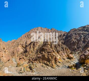 Nature en Oman entourant le célèbre sentier de randonnée c38 à Muttrah, Muscat, Oman. Banque D'Images