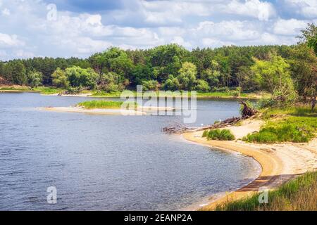 Petite plage de Weld avec une île sur un lac sonné par la forêt de bouleau et de pins. Banque D'Images