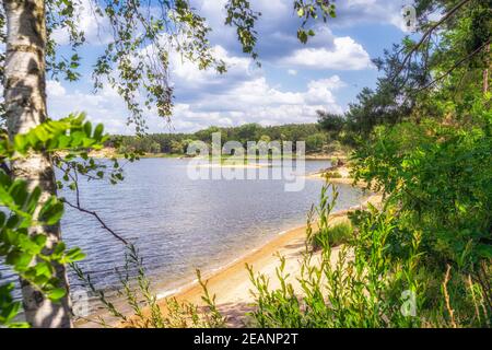 Petite plage de Weld avec une île sur un lac sonné par la forêt de bouleau et de pins. Banque D'Images