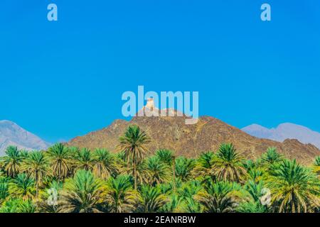 Vue sur une tour d'observation dans la région de nizwa perchée sur une colline et entourée d'une oasis luxuriante pleine de palmiers, oman. Banque D'Images