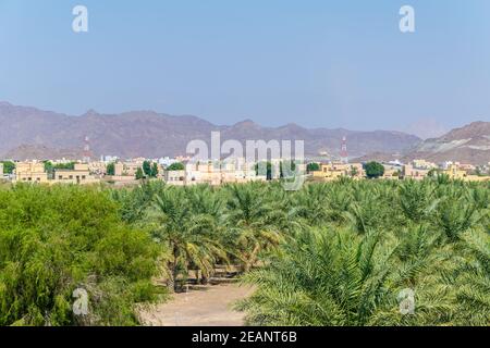 Paysage du pays d'Oman au château de Jabrin à ad Dahiliyah, Oman Banque D'Images